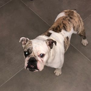 Meet your Posher, Araceli